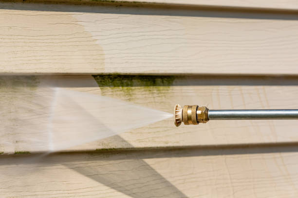 Best House Pressure Washing  in Highland Park, IL